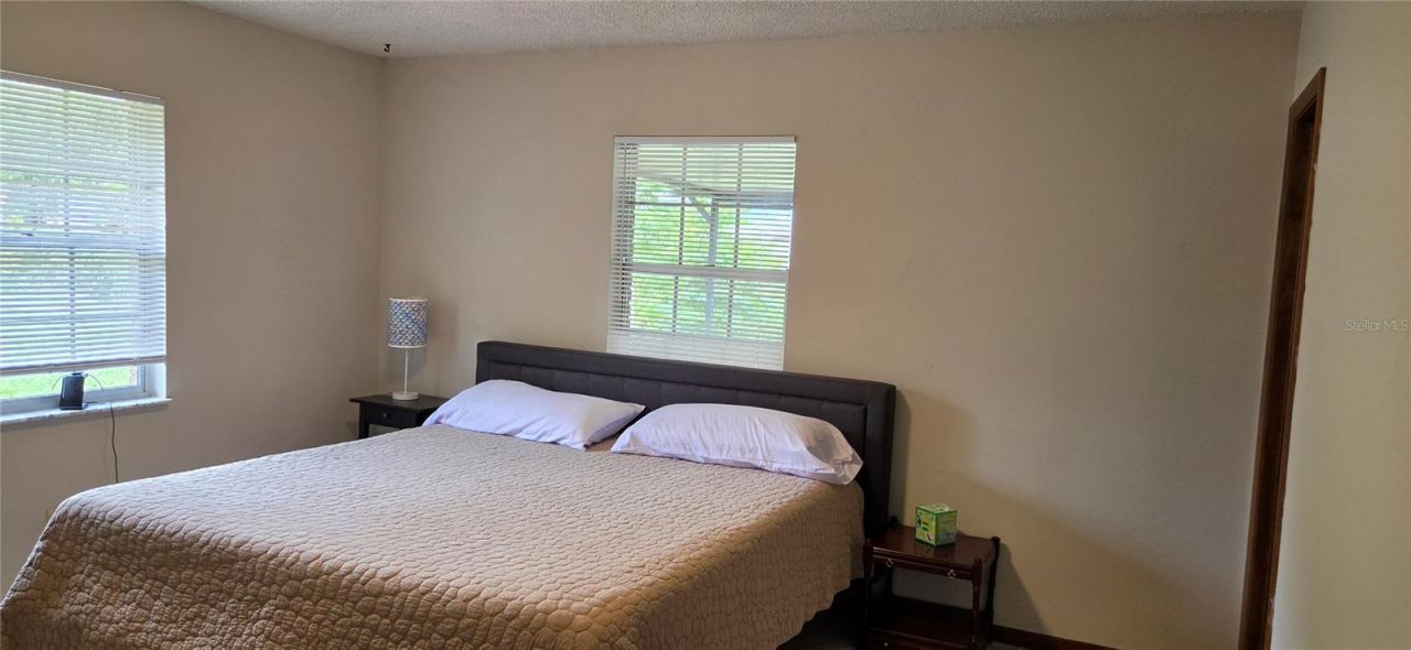 10901 Mcmullen Loop, Riverview, FL 33569 Photo