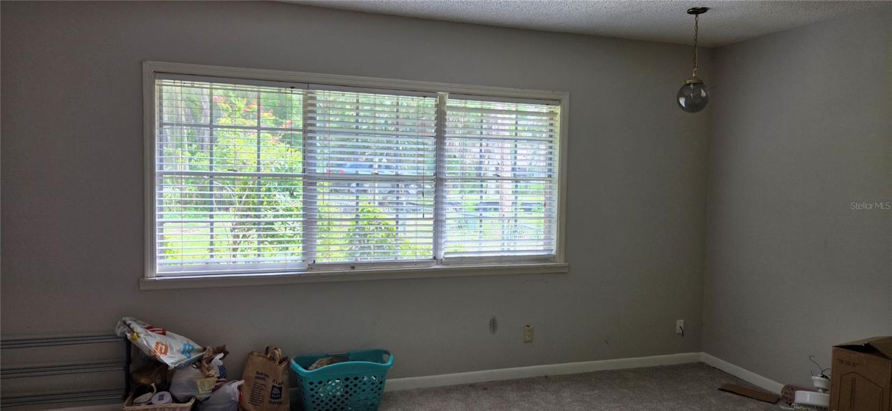 10901 Mcmullen Loop, Riverview, FL 33569 Photo