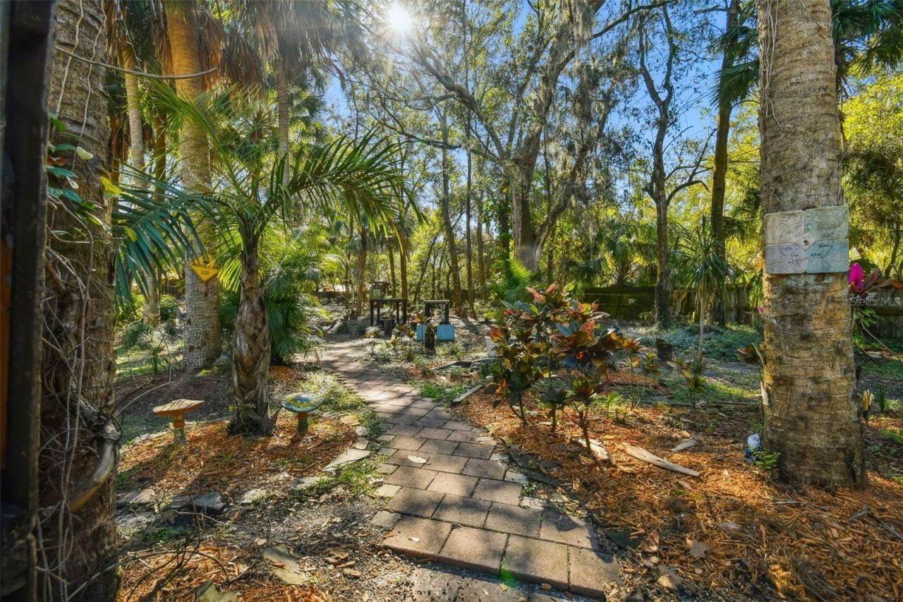 10901 Mcmullen Loop, Riverview, FL 33569 Photo