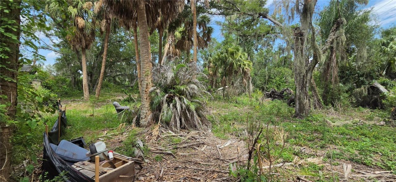 10901 Mcmullen Loop, Riverview, FL 33569 Photo