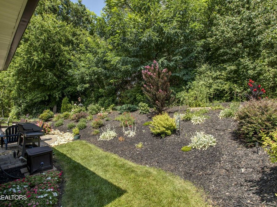 Property Image 54