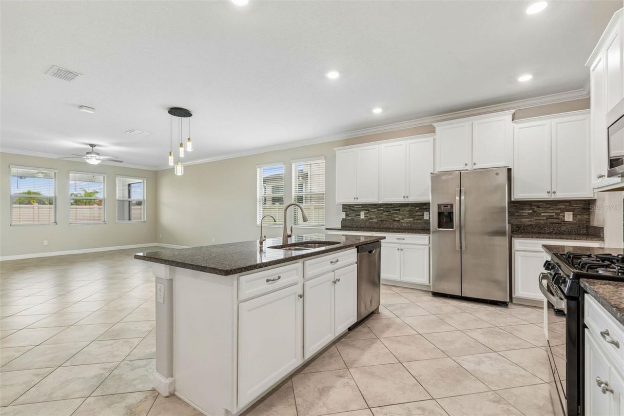 25057 Lambrusco Loop , Lutz, FL 33559 Photo