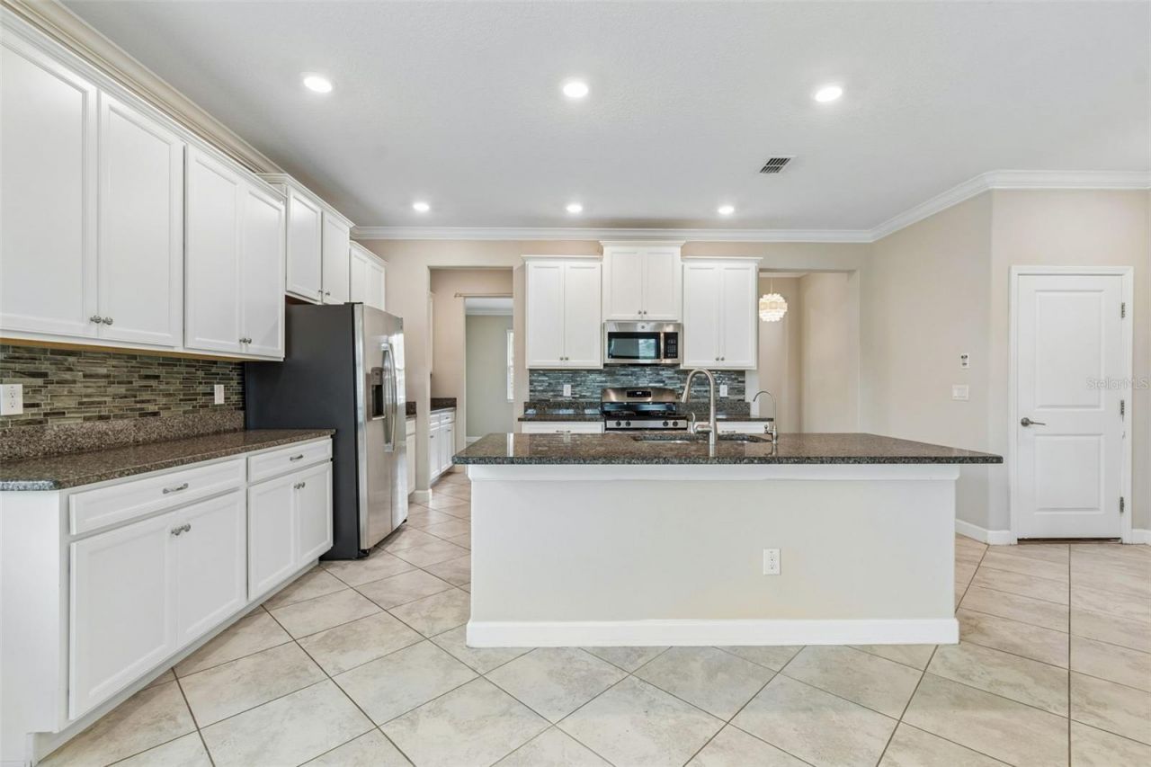 25057 Lambrusco Loop , Lutz, FL 33559 Photo