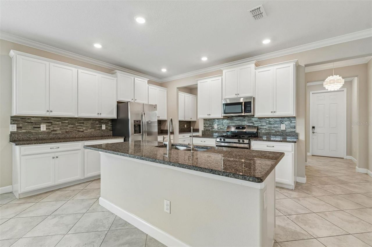 25057 Lambrusco Loop , Lutz, FL 33559 Photo