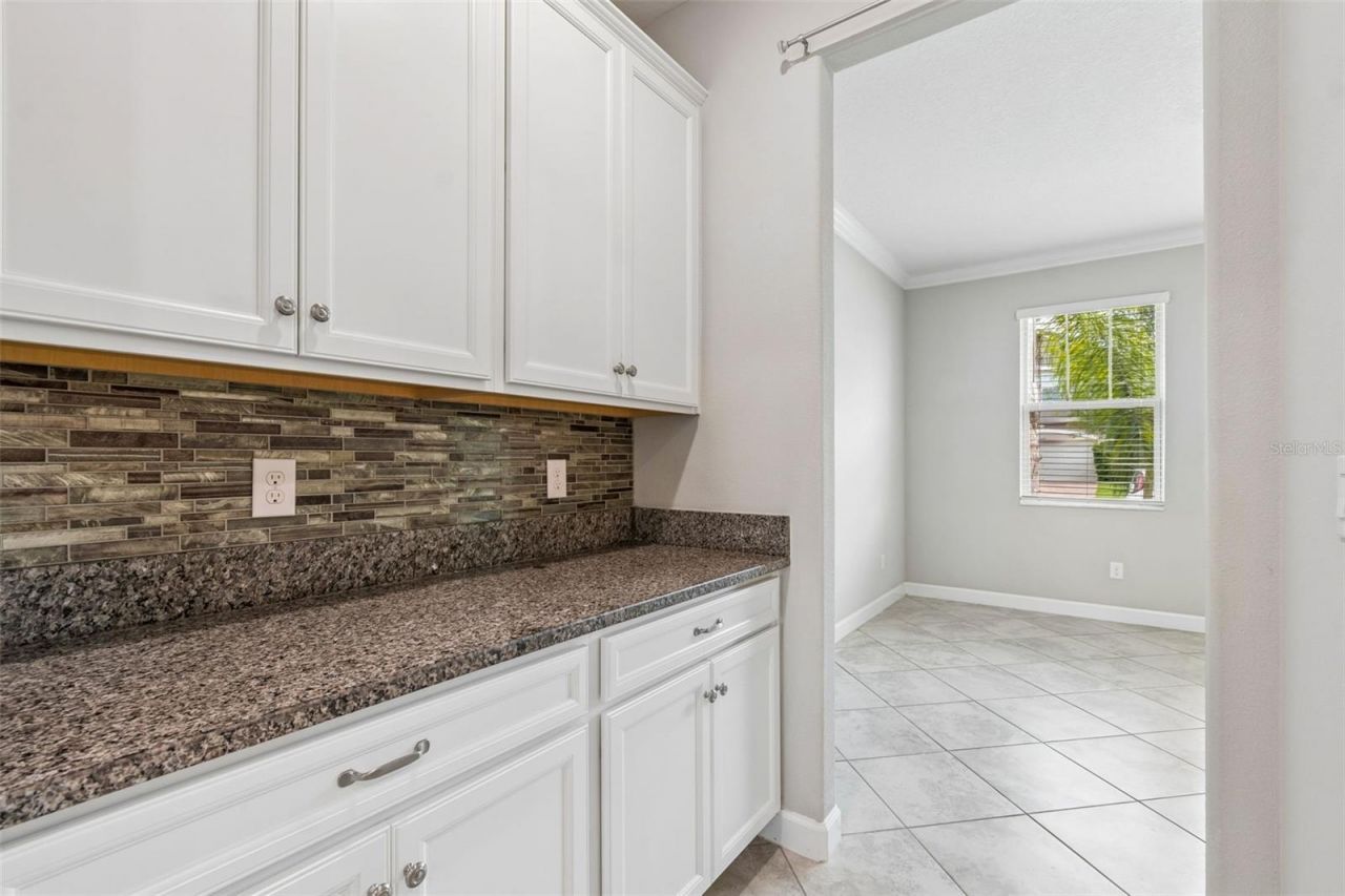 25057 Lambrusco Loop , Lutz, FL 33559 Photo
