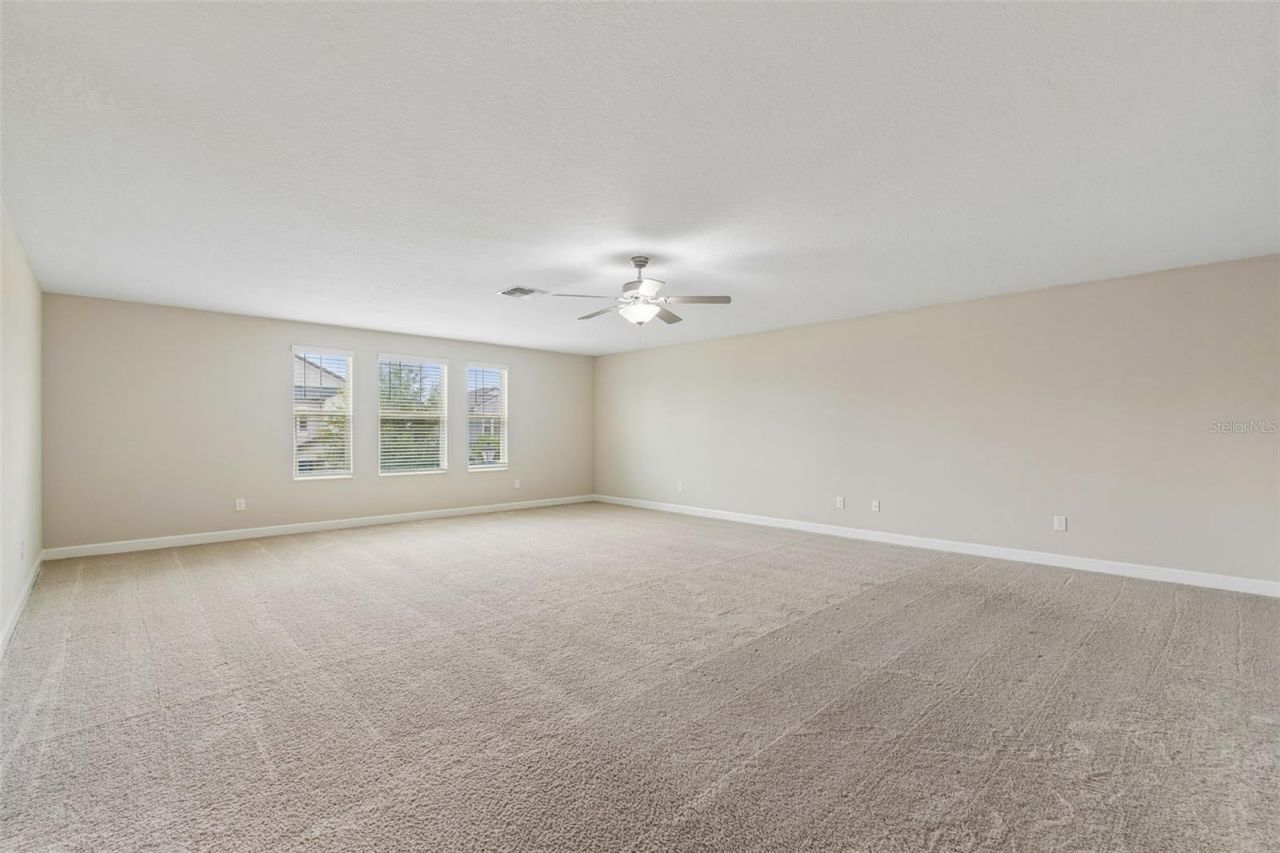 25057 Lambrusco Loop , Lutz, FL 33559 Photo