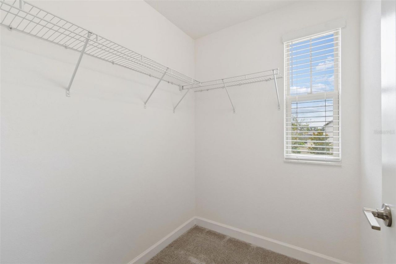 25057 Lambrusco Loop , Lutz, FL 33559 Photo