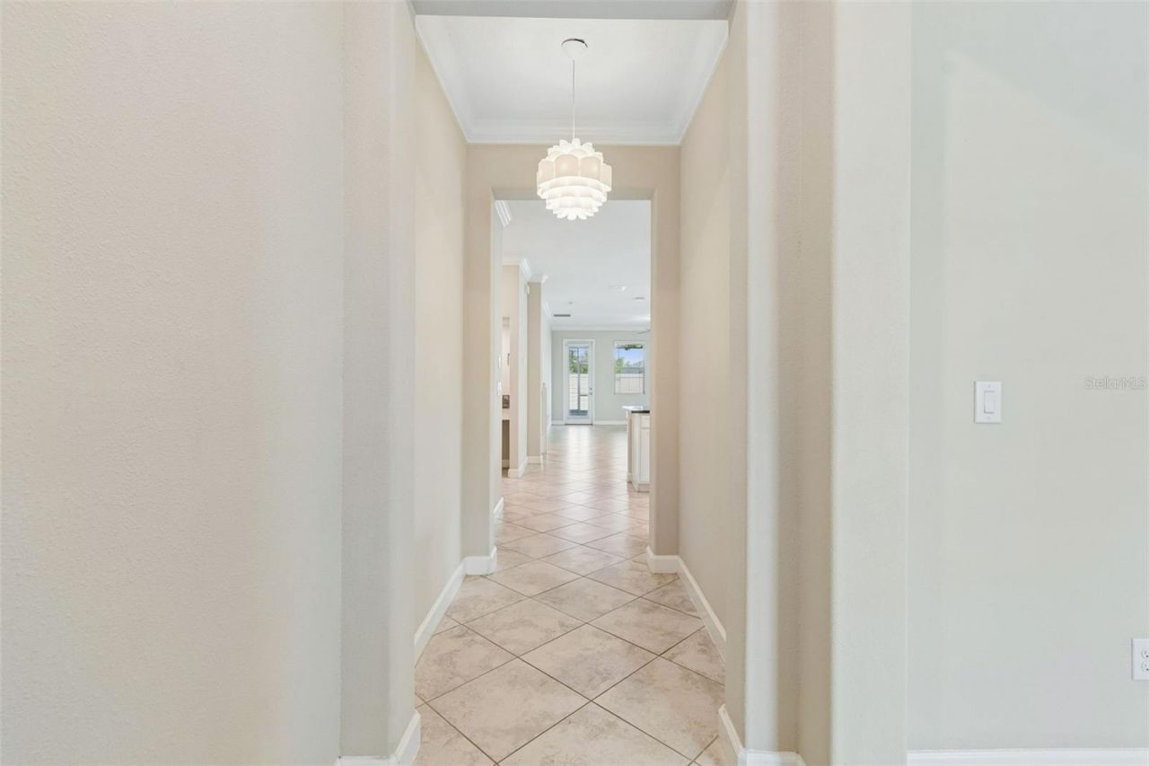 25057 Lambrusco Loop , Lutz, FL 33559 Photo