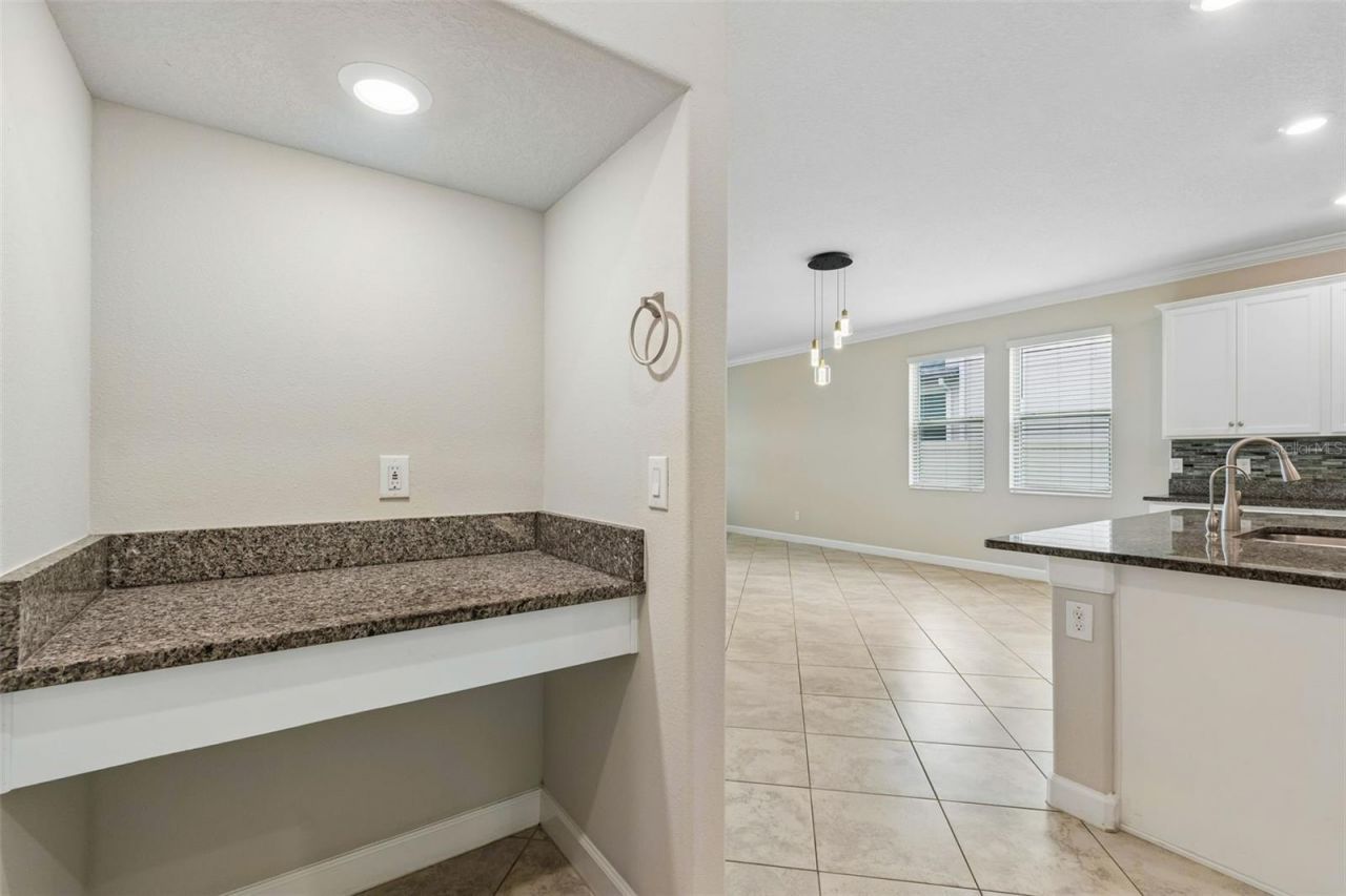 25057 Lambrusco Loop , Lutz, FL 33559 Photo