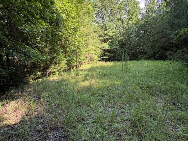 0 Greenhill Farms Drive , Rutherfordton, NC 28139
