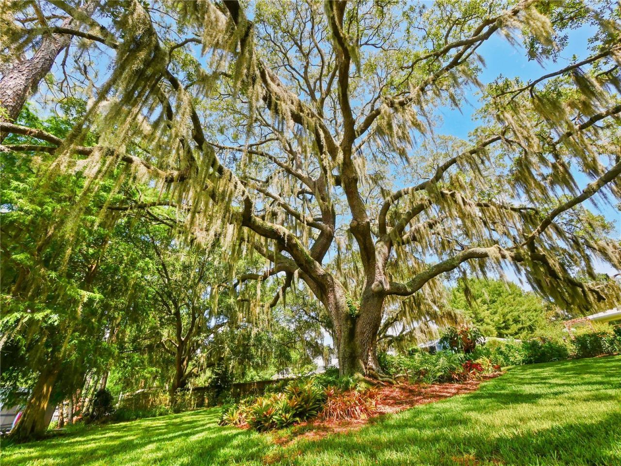 5701 Cross Fox Lane, Oviedo, FL 32765 Photo