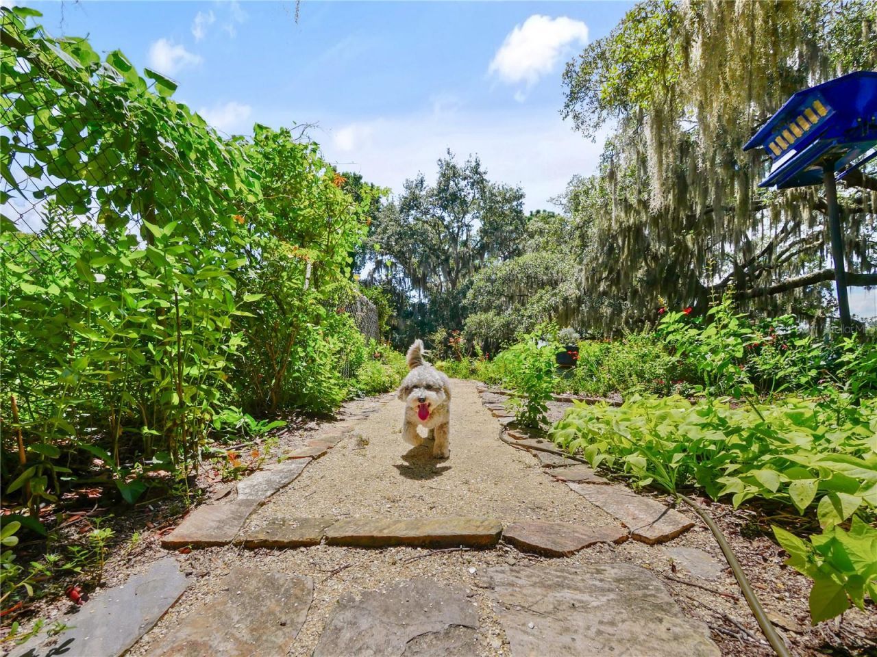 5701 Cross Fox Lane, Oviedo, FL 32765 Photo