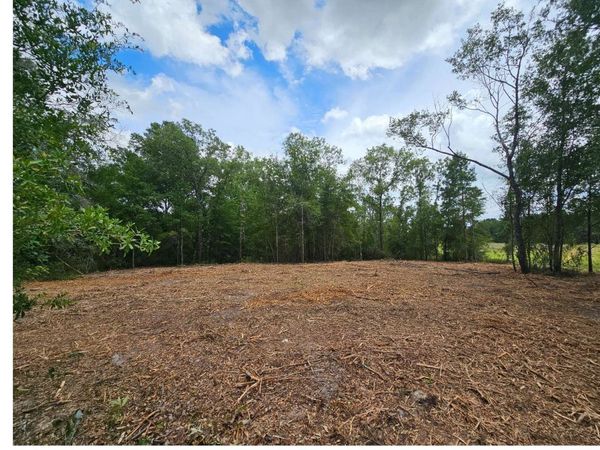 TBD 220TH PT LOTS 11&12, OBrien, FL 32071
