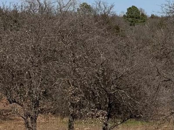 16400 S Anderson Highway, Oklahoma City, OK 73165