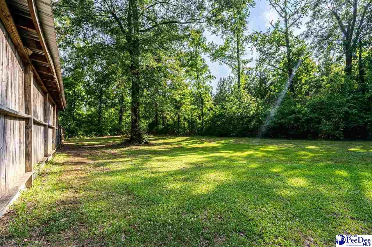 3123 Land Grant Dr Photo 10