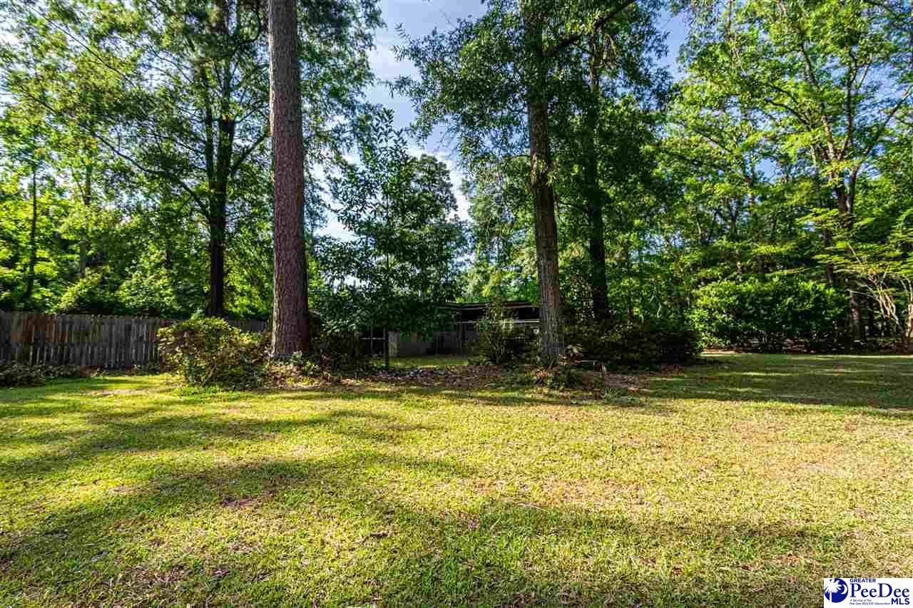 3123 Land Grant Dr Photo 5