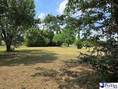 2235 Ashford Rd, Effingham, SC 29541