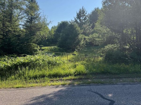 TBD Co Rd 601 Road, Republic Twp, MI 49879