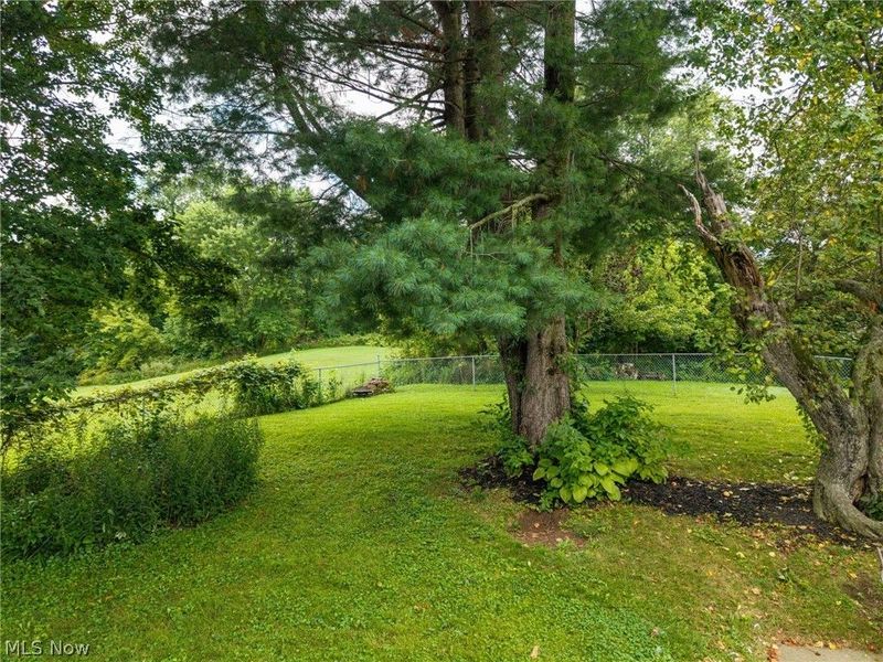 2188 Moffett Road, Lucas, OH 44843 Photo 5