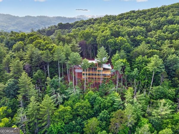 LOT 3C Stanley Creek Road, Cherry Log, GA 30522