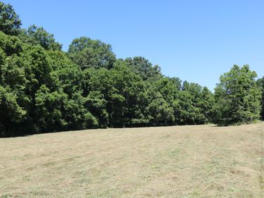 1-A Dog Walk Road, Carlisle, KY 40311
