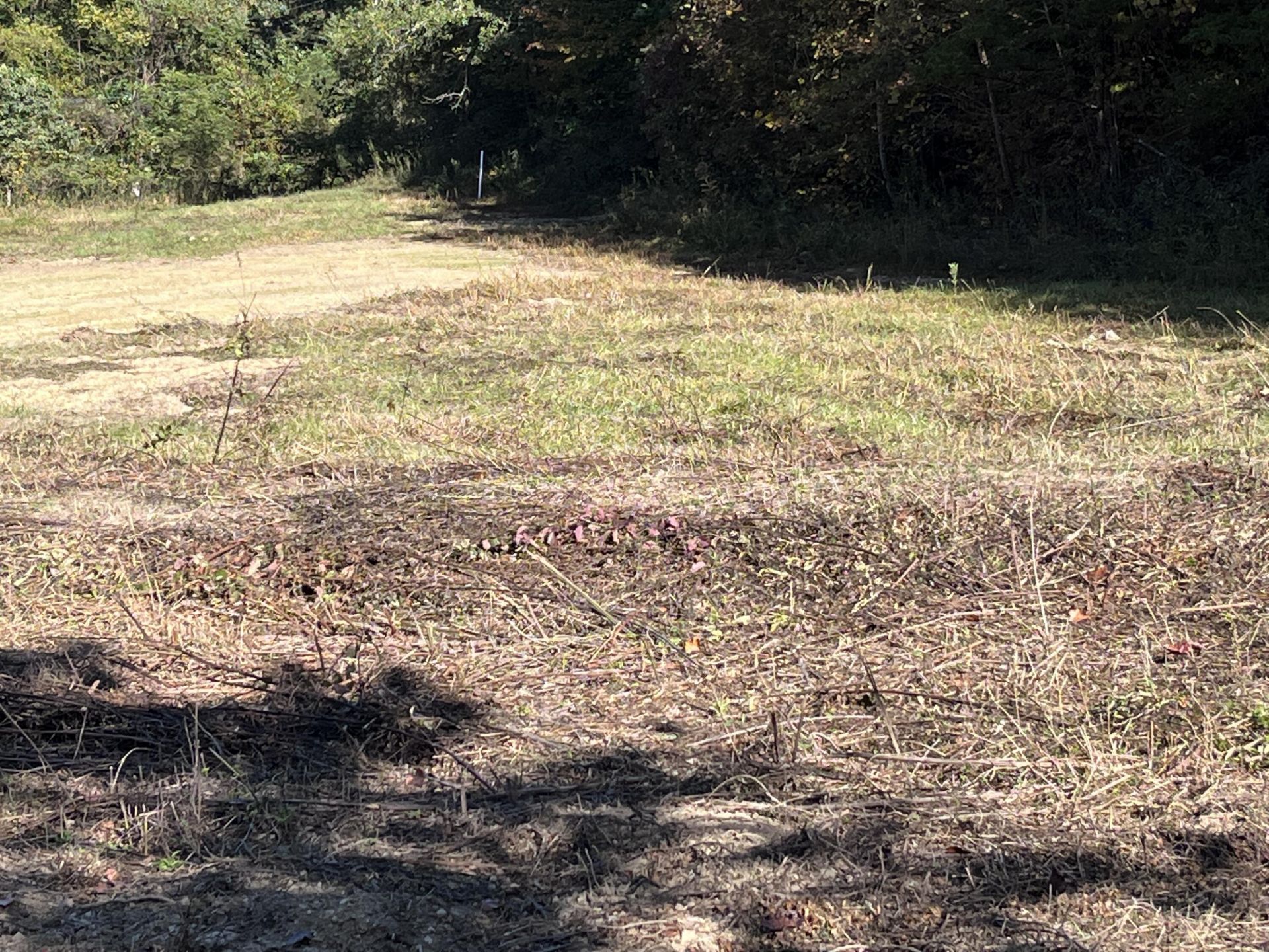 492 Lowder Fork, South Shore, KY 41175