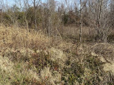 330 Grace Road, Fulton, KY 42041