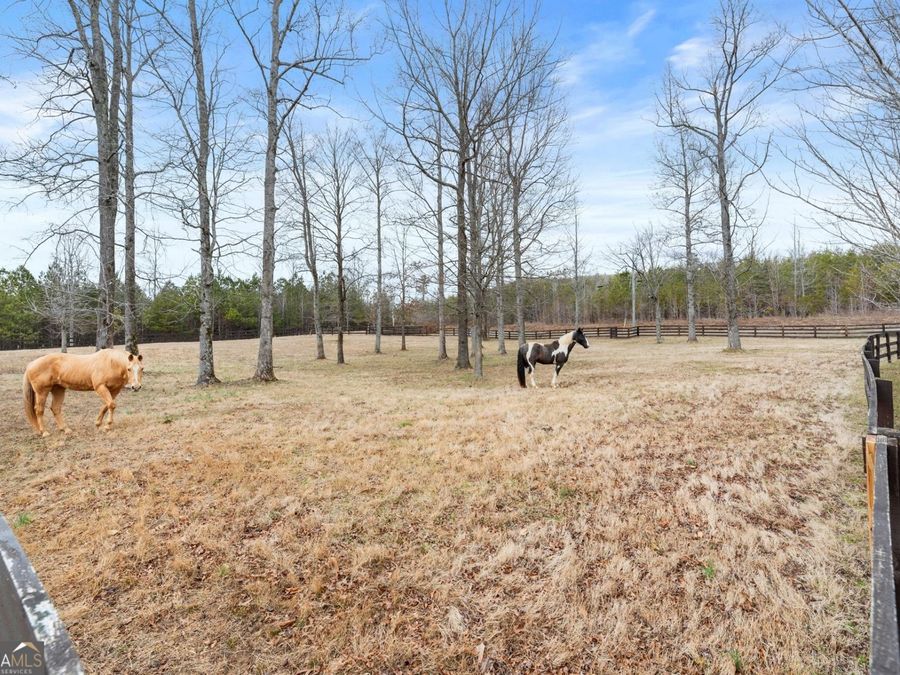 Property Image 118