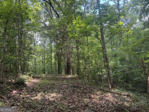 0 Hickey Road, Franklin, GA 30217