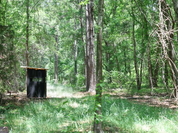 2239 Brady Road, De Soto, GA 31743