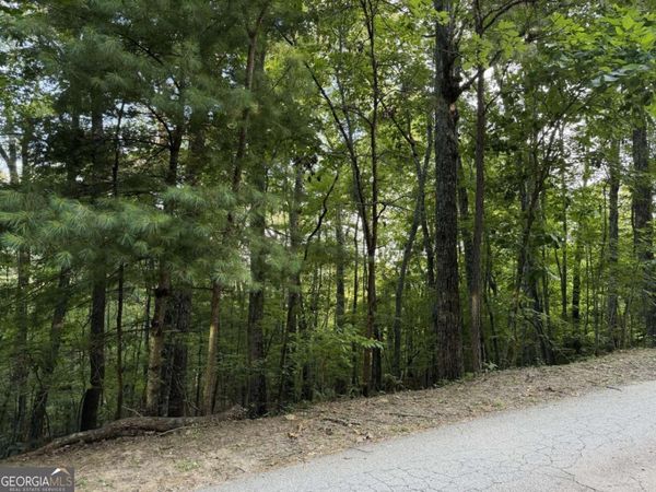 LOT 46 Fox Run Drive, Unit 46, Blue Ridge, GA 30513