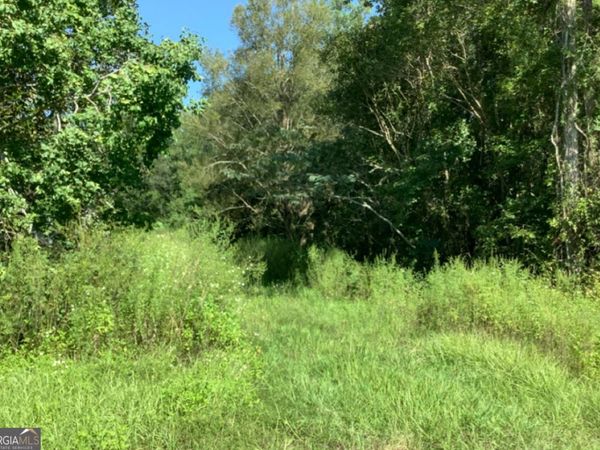 LOT 62 Burnt Fort Road, White Oak, GA 31568