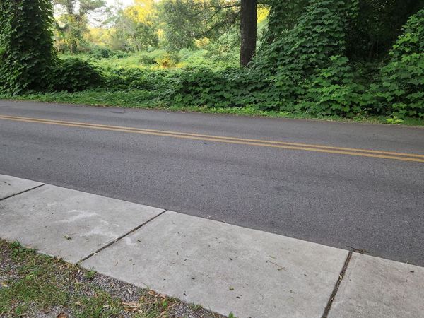 0 Pine Street, Hogansville, GA 30320