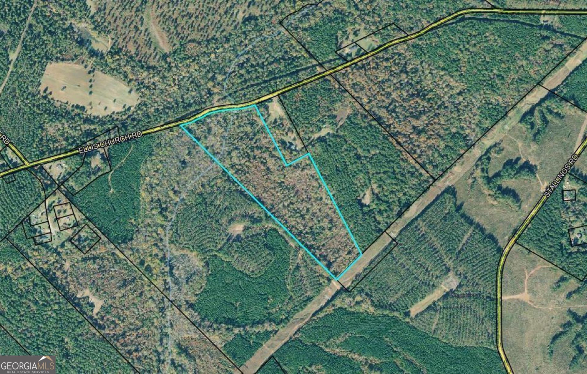 0 Ellis Church Road, Haddock, GA 31033 Main Photo