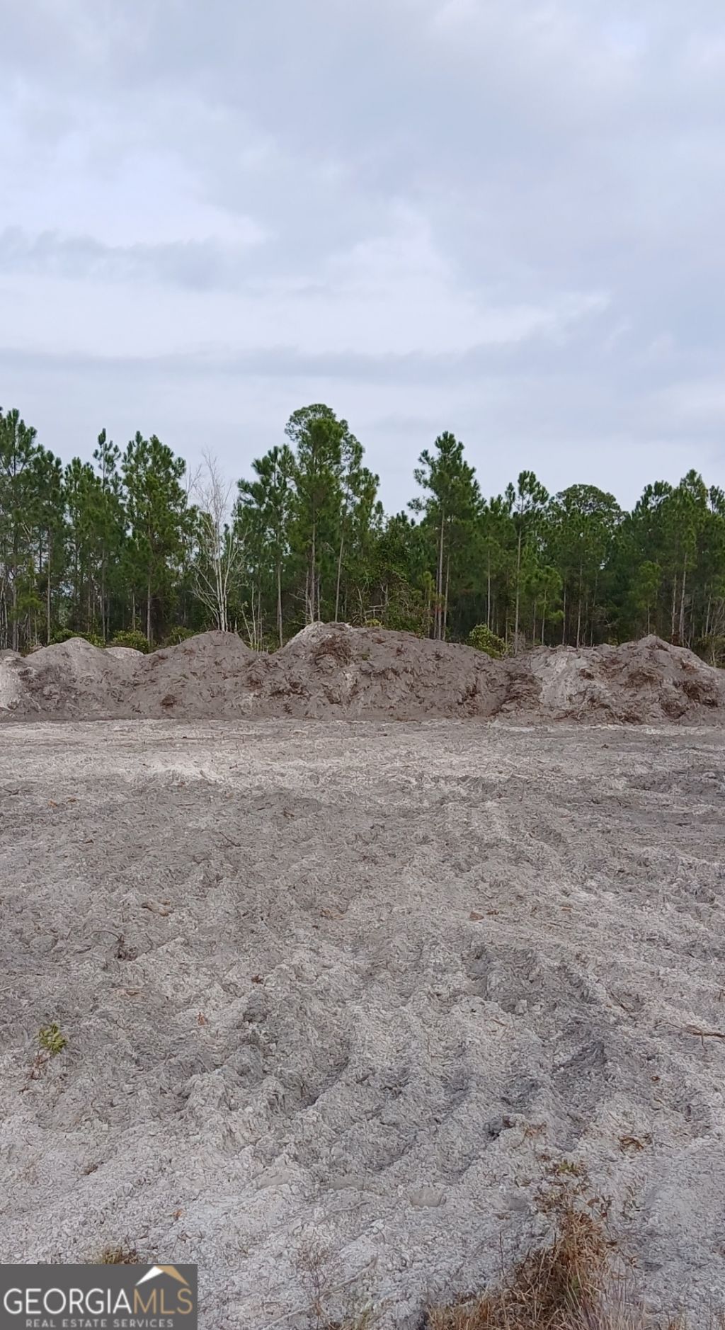 0 (lot 7) Dogwood Lane, Folkston, GA 31537 Main Photo