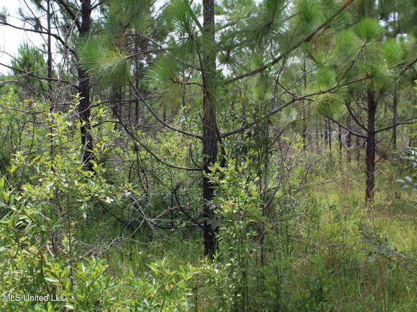 Agricola Latonia Road, Lucedale, MS 39452
