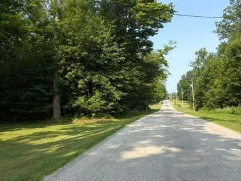 5560 Township Road 14 , Mount Gilead, OH 43338 Photo 15