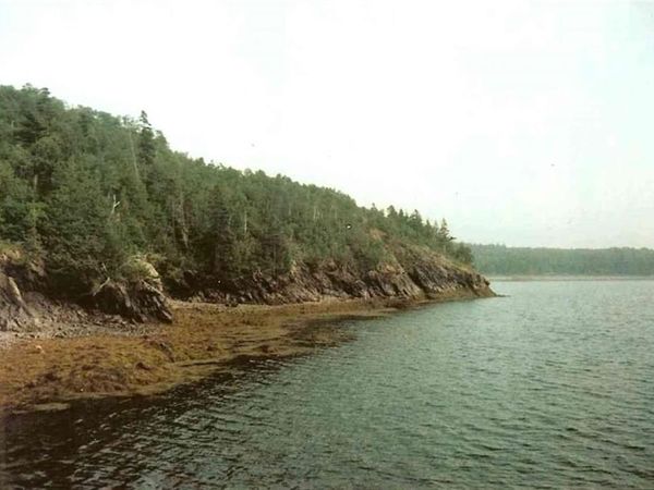 0 Mill Creek Lane , Lubec, ME 04652