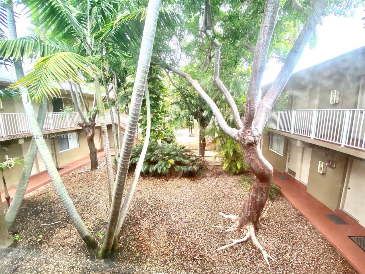 6330 SW 79th St , Unit 7, South Miami, FL 33143 Photo