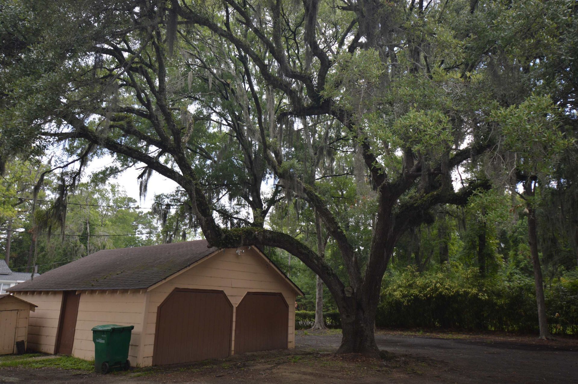 2910 Highmarket St. Photo 4
