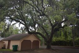 2910 Highmarket St. photo 4