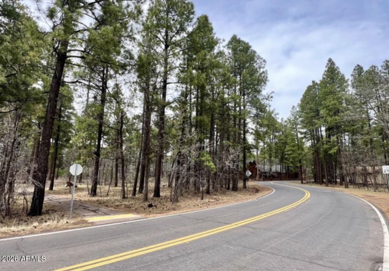 4024 Latigo Way, Lot #-, Pinetop-lakeside, AZ 85929 Main Photo