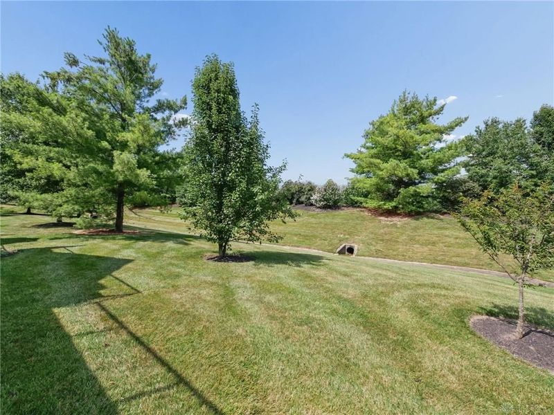 4186 E Village Drive, Mason, OH 45040 Photo 46