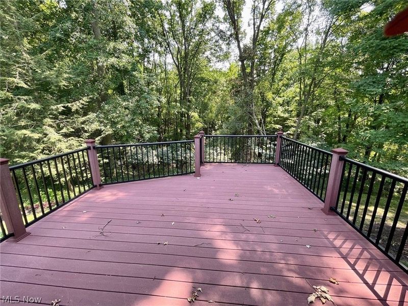3731 Mercedes Place, Canfield, OH 44406 Photo 36