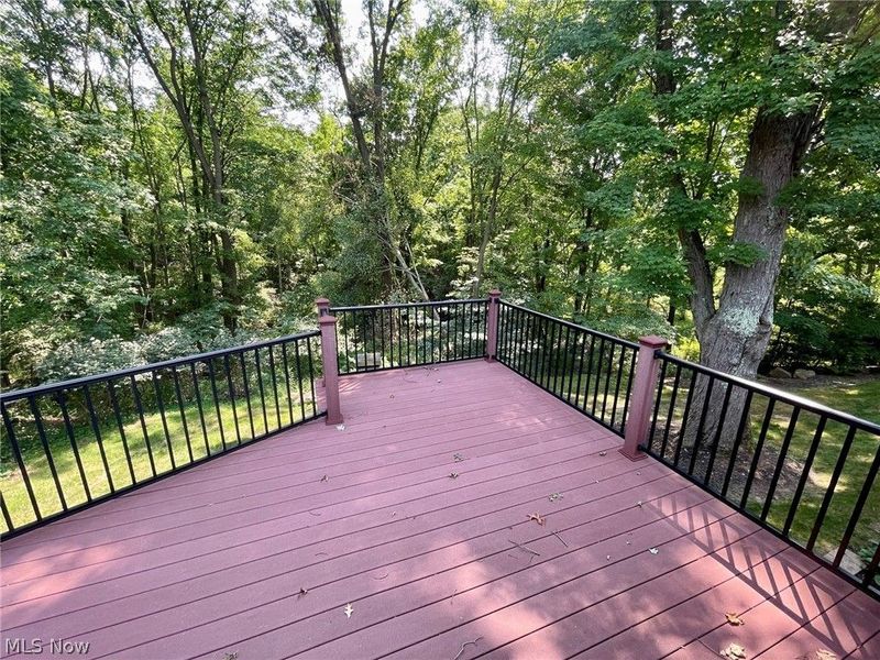 3731 Mercedes Place, Canfield, OH 44406 Photo 37
