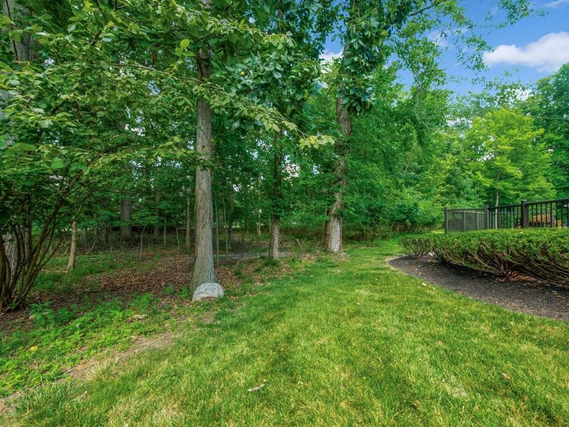 6687 Hawksnest Court, Westerville, OH 43082 Photo 34