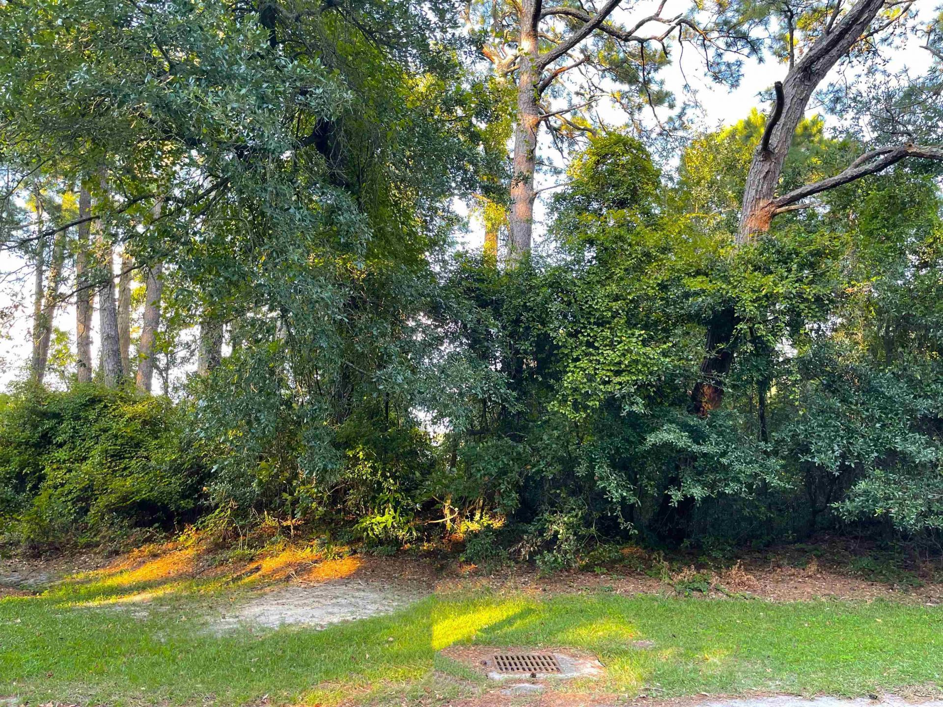 4195 Golf Ave.  Photo 6