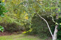 500 Spauldingwood Rd.  photo 4