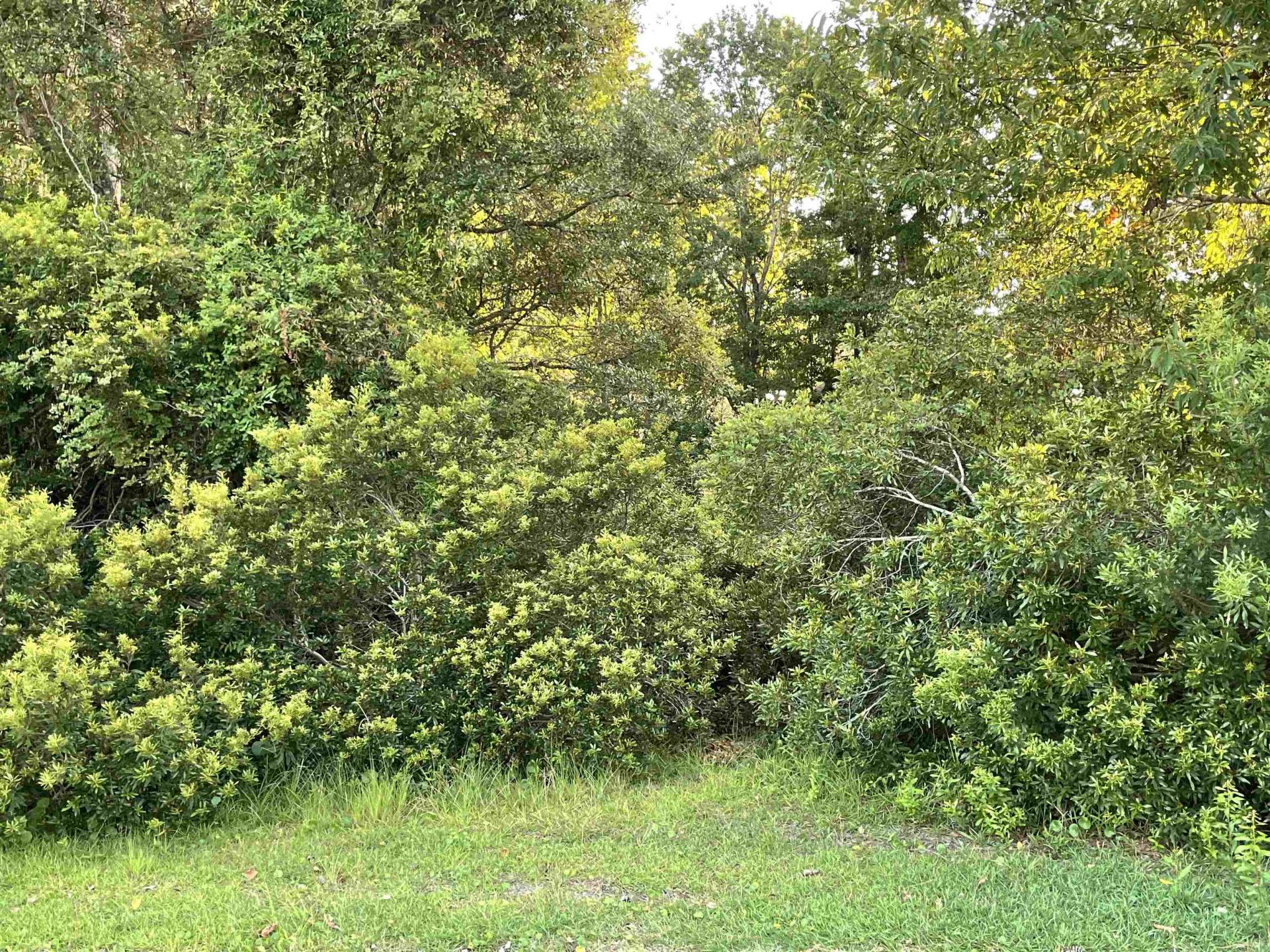 500 Spauldingwood Rd.  Photo 7