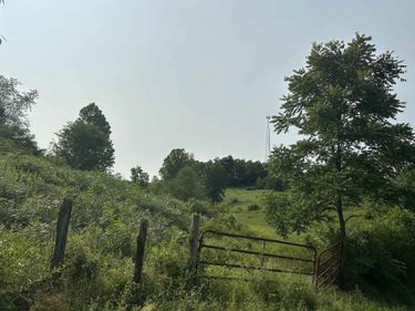 TBD SLAB CAMP Road, French Creek, WV 26218